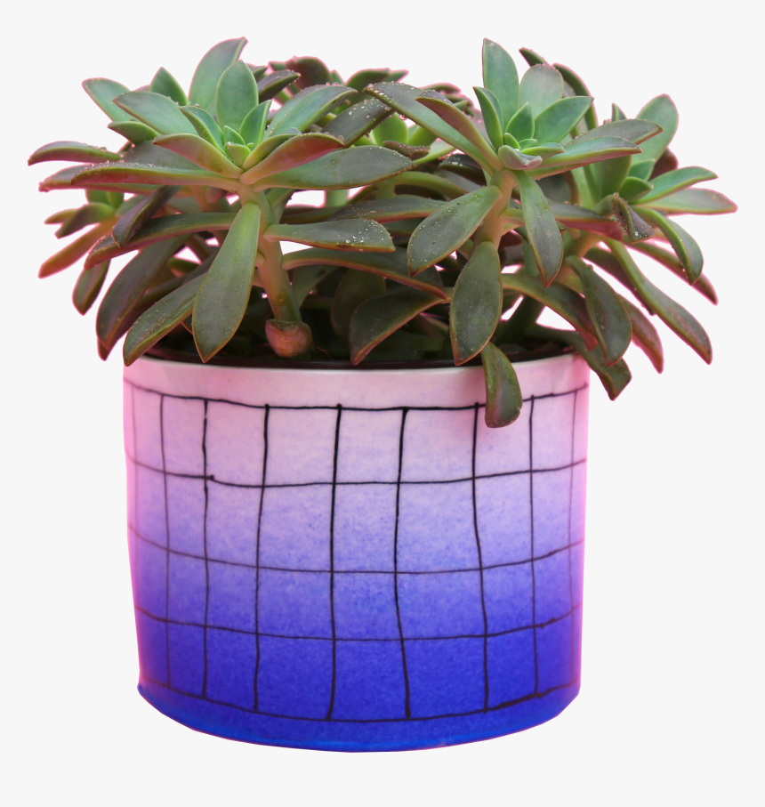 Flowerpot, HD Png Download
