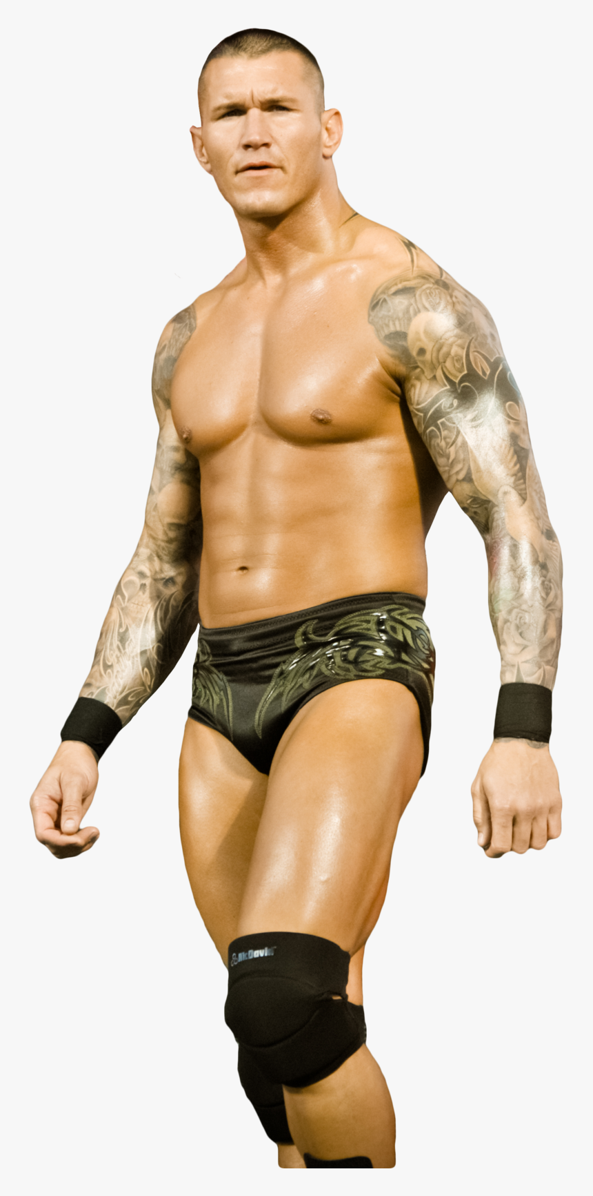 Transparent Randy Orton Rko Png - Randy Orton Image Download, Png Download