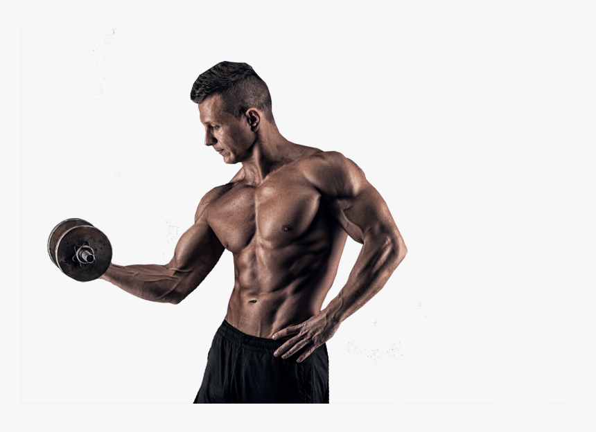 Body Builder Png - Bodybuilder Images In Png, Transparent Png