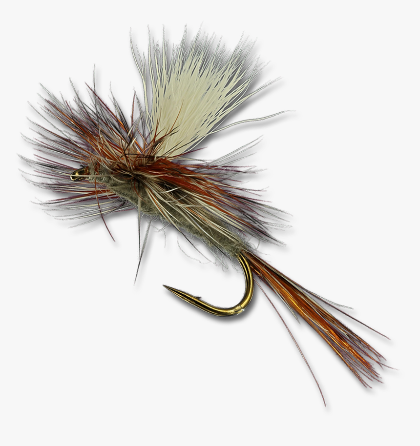 Parachute Adams - Fly Fishing Images Parachute Adams, HD Png Download