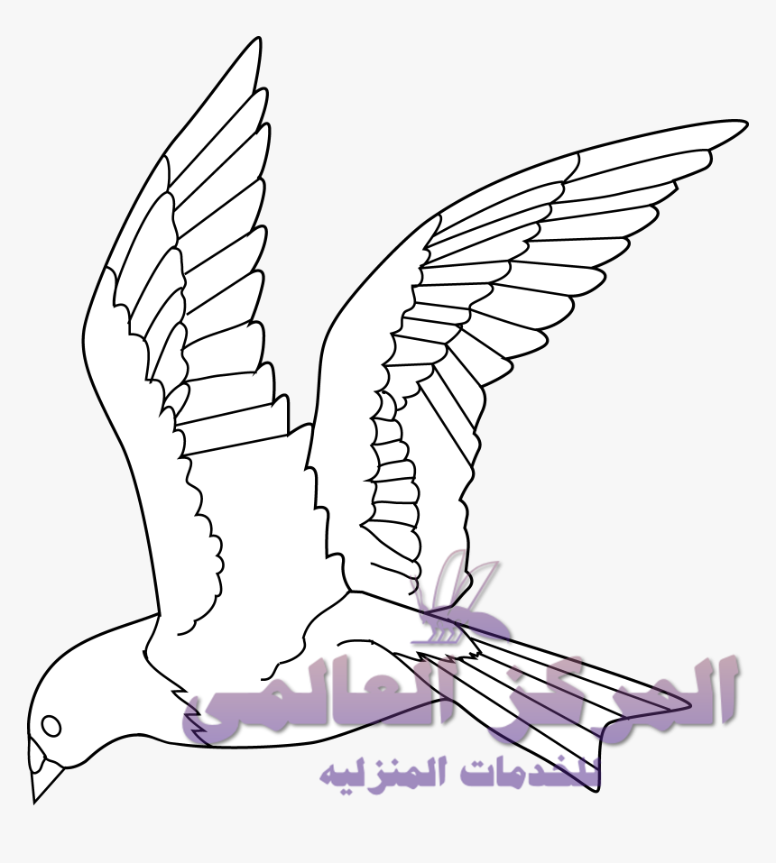 Animals And Birds Drawing, HD Png Download