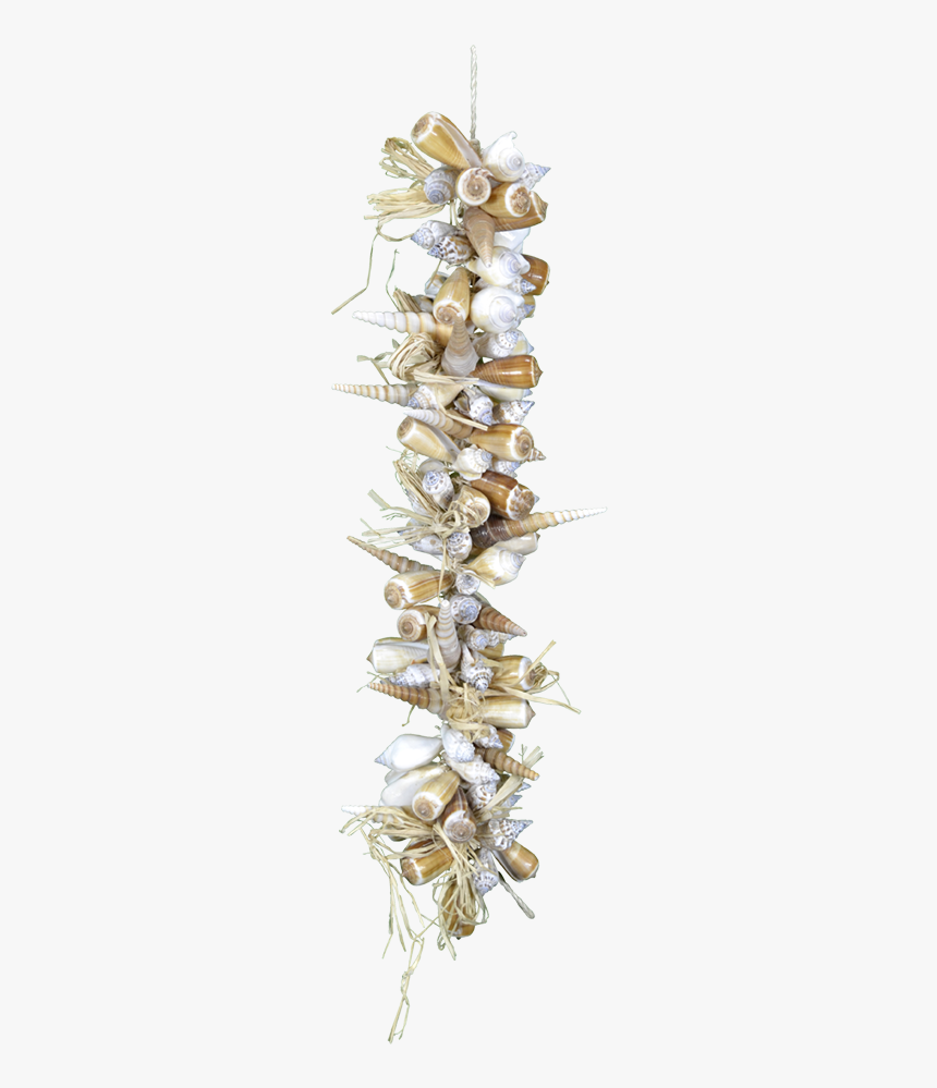 Garland 21 -brown Shells - Christmas Tree, HD Png Download
