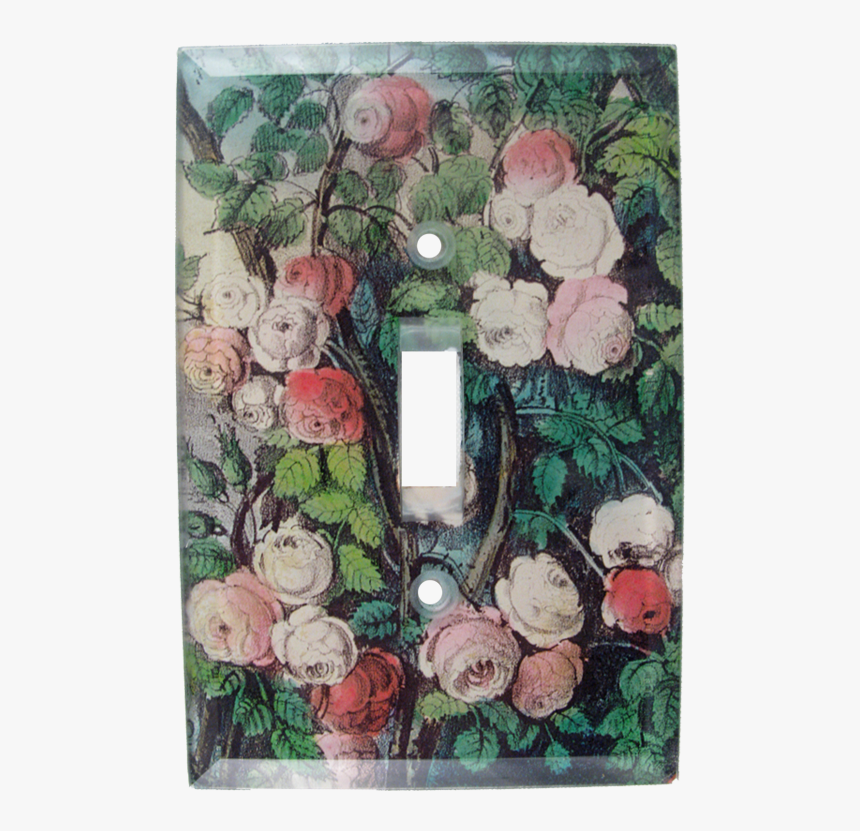 Lily Of The Valley, HD Png Download