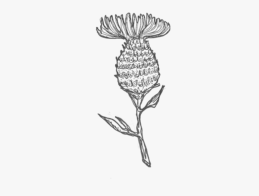 Bernice Yu/ - Illustration, HD Png Download