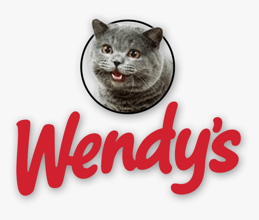 Wendy S Logo With Cheezburger Cat - Cat Eating At Wendy's, HD Png Download