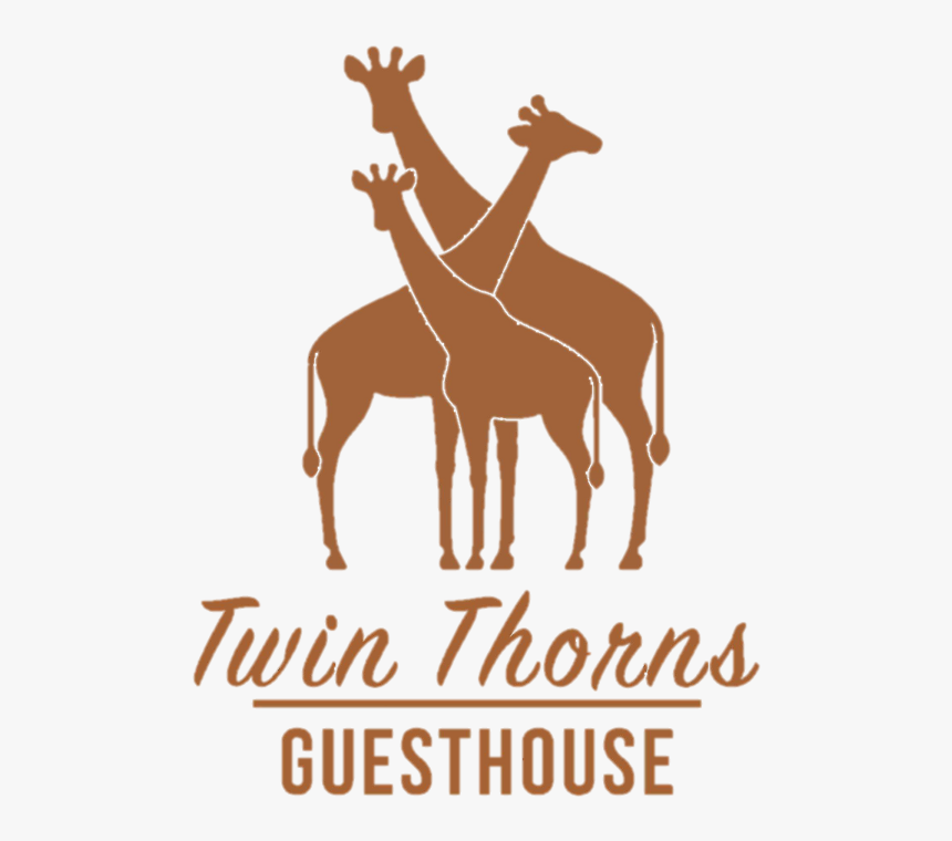 Deer, HD Png Download