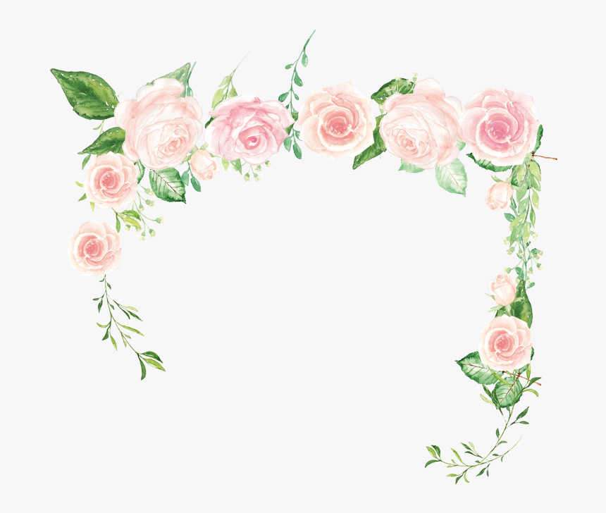 Pink Flower Rose Green - Hybrid Tea Rose, HD Png Download