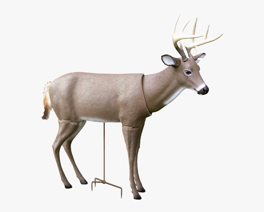 Scar Deer Decoy - Decoy Deer, HD Png Download