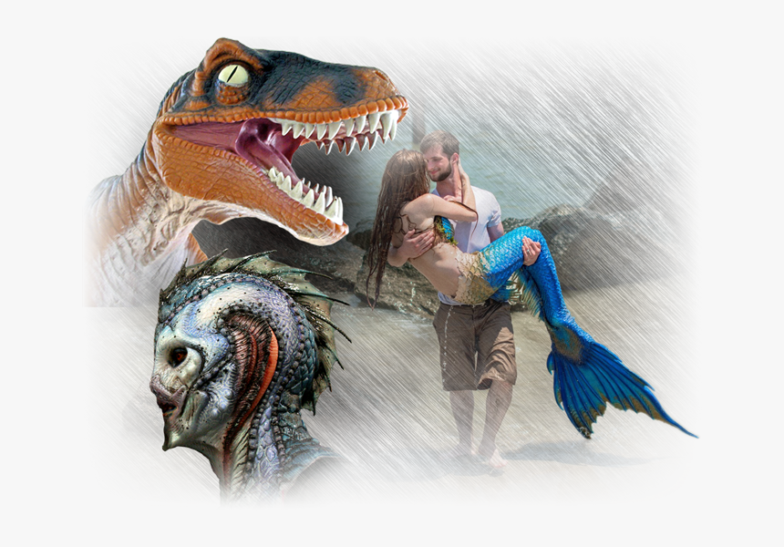Dragon Skin™ Series - Dragon Silicone, HD Png Download