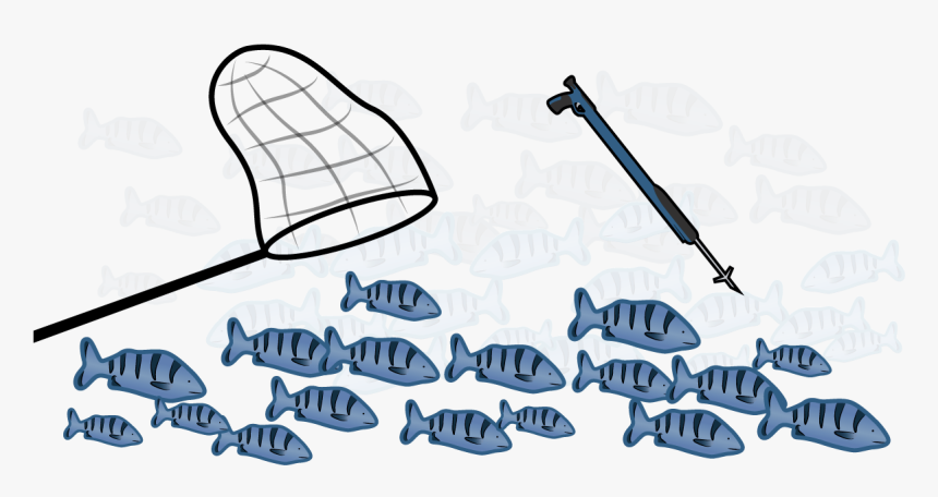 Hillary Clinton Looks Like She S About To Crush Donald, HD Png Download