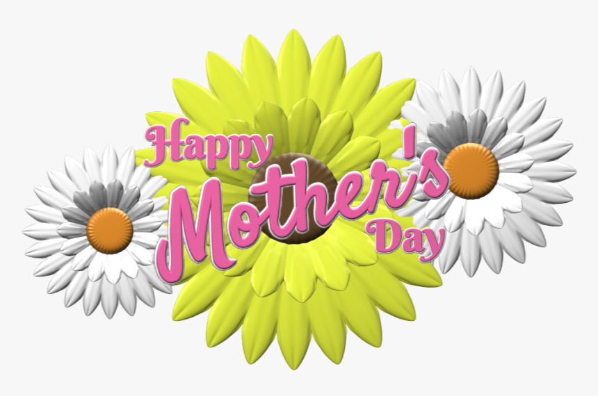 Transparent Happy Mother Day Png - African Daisy, Png Download