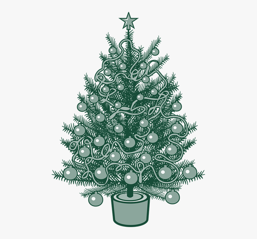 Christmas Tree, X-mas, Christmas, Fir Tree, Tree, Green - Christmas Tree Vector, HD Png Download