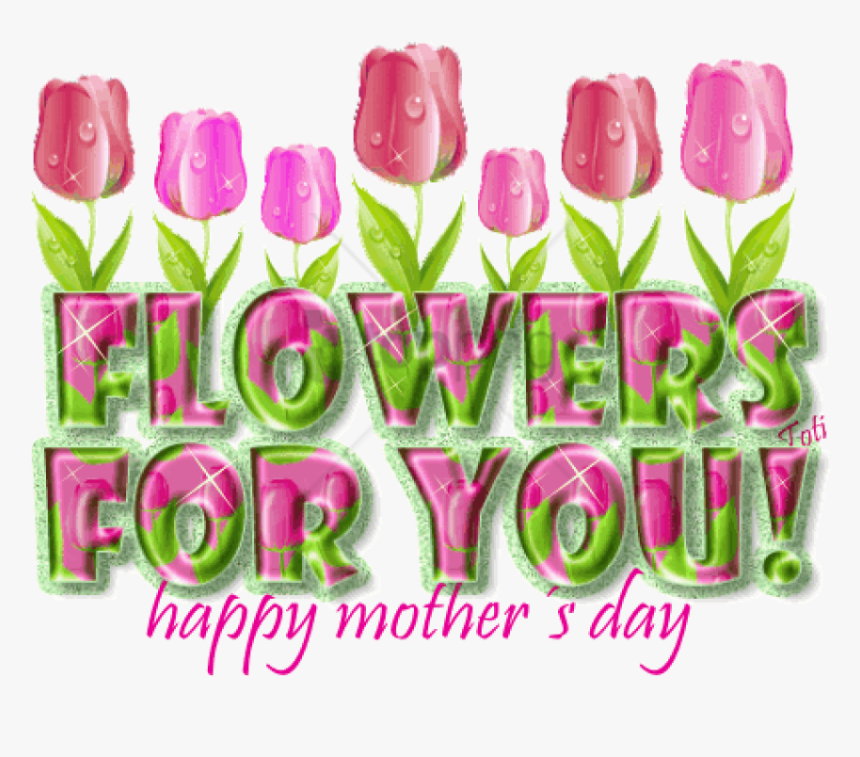 Lady Tulip, HD Png Download