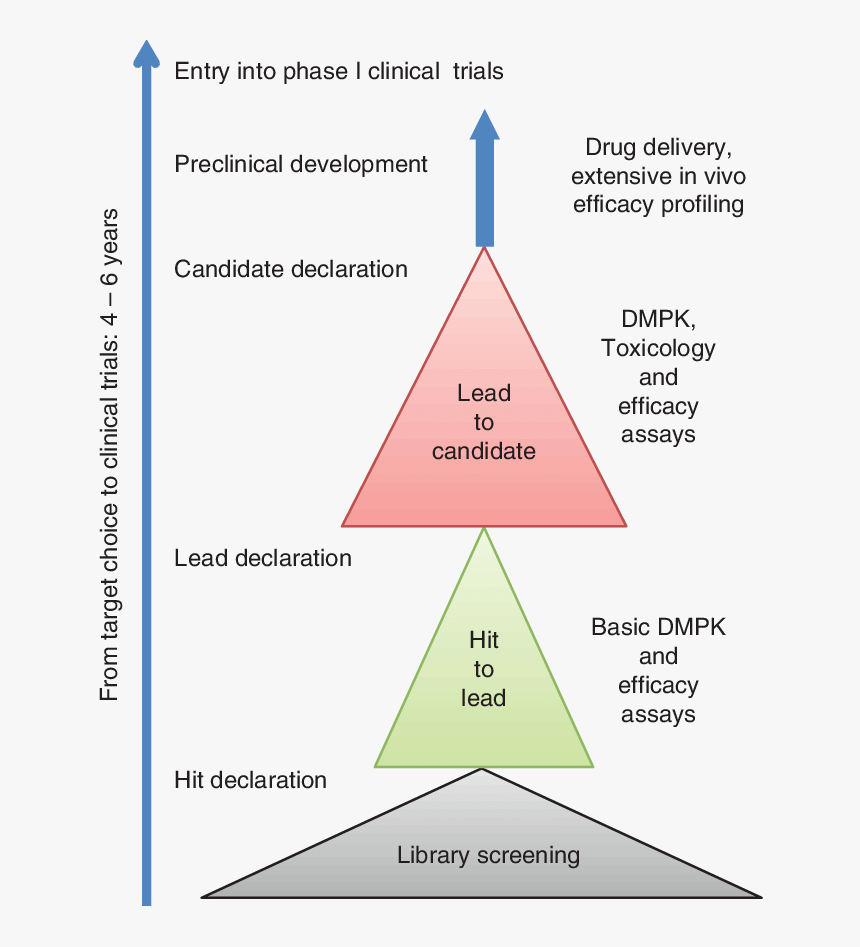 Drug Discovery Outline, HD Png Download