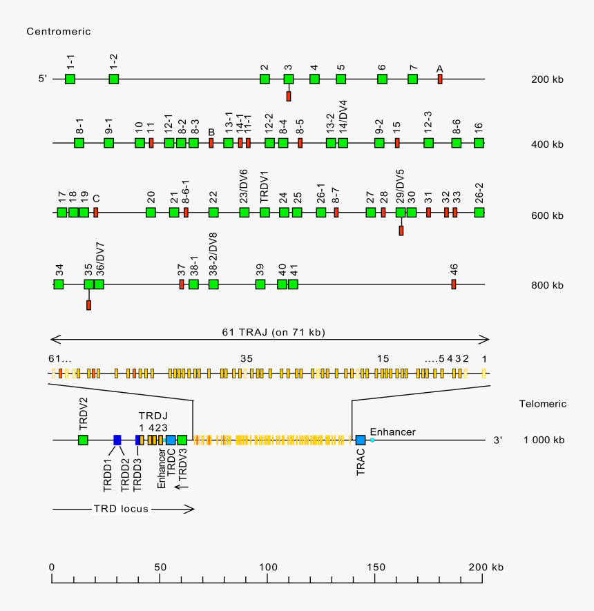 Screenshot, HD Png Download