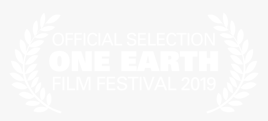 Follow Us On Instagram - Buffalo Niagara Film Festival, HD Png Download
