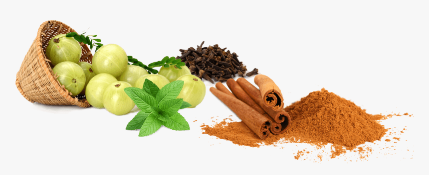 Download Ayurveda Png Hd - Ayur Care Llc Wellness Centre, Transparent Png