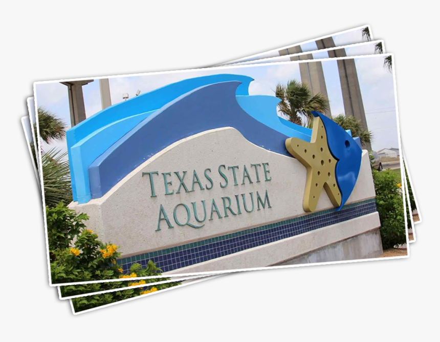 Próximos Eventos En Corpus Christi Texas, HD Png Download