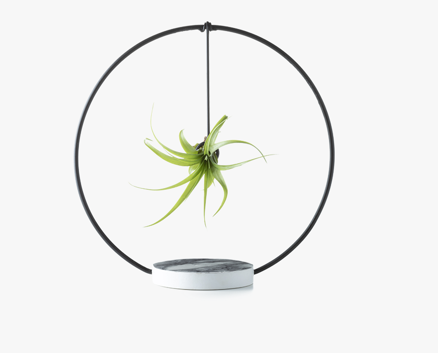 Circle, HD Png Download