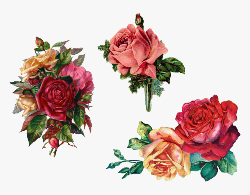 Rose Bouquet Vintage Png, Transparent Png