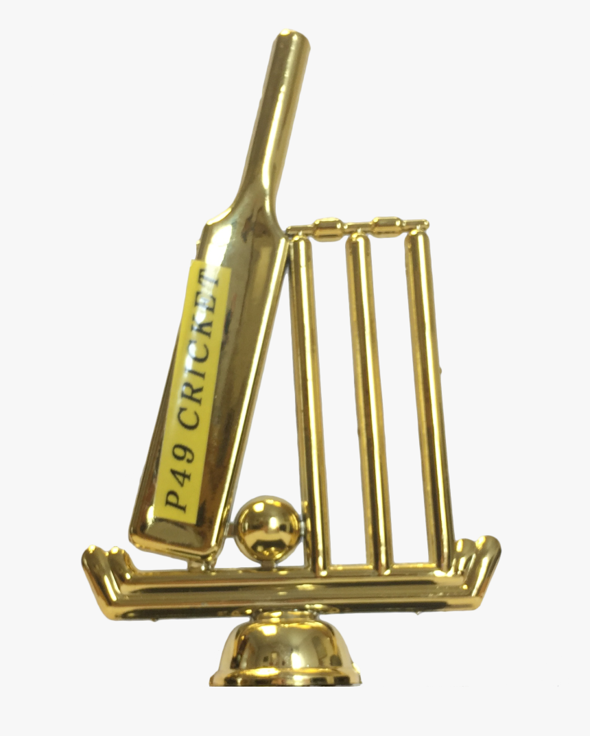 Cricket, HD Png Download