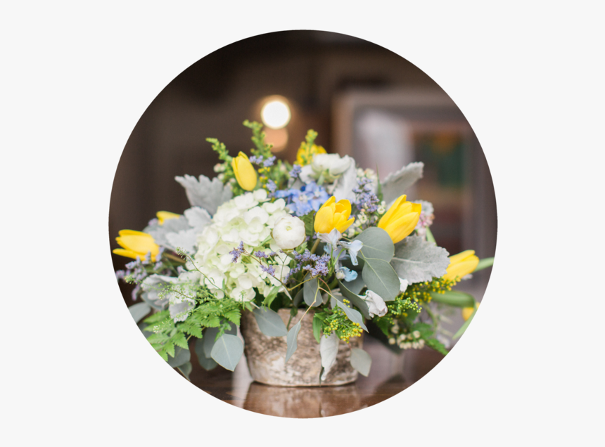 Carretto Studio, HD Png Download