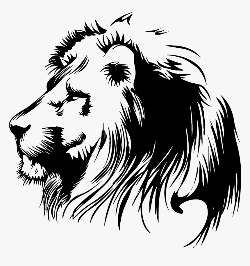 Image to vector