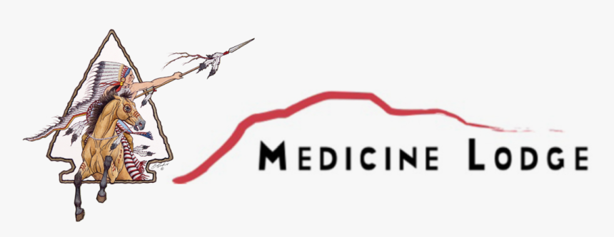 Dragonflies And Damseflies, HD Png Download