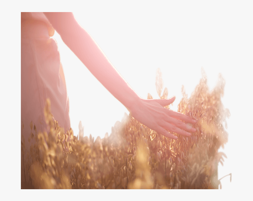 Girl, HD Png Download