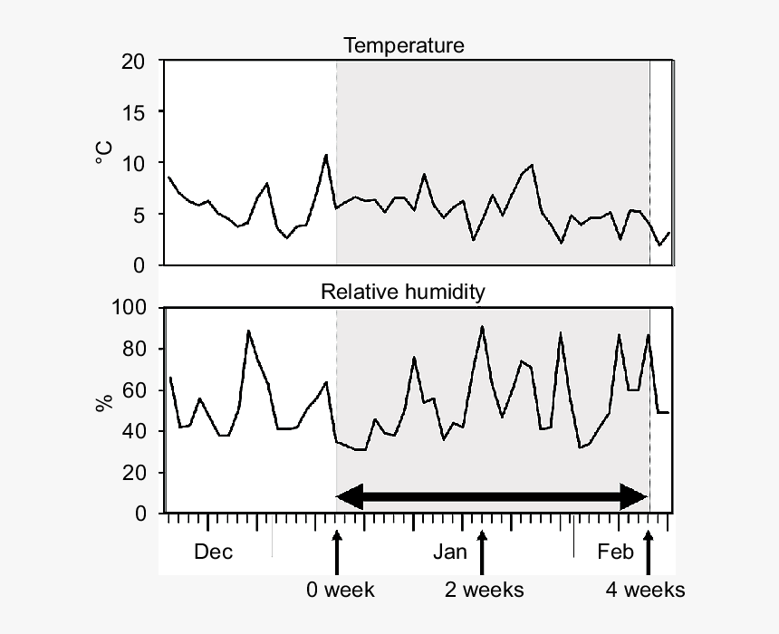 Double Sided Arrow Png - Plot, Transparent Png