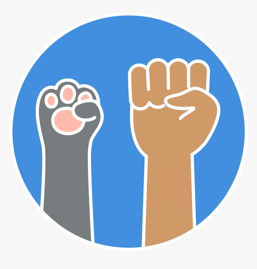 Wtf Meme Png , Png Download - Camera Icon, Transparent Png