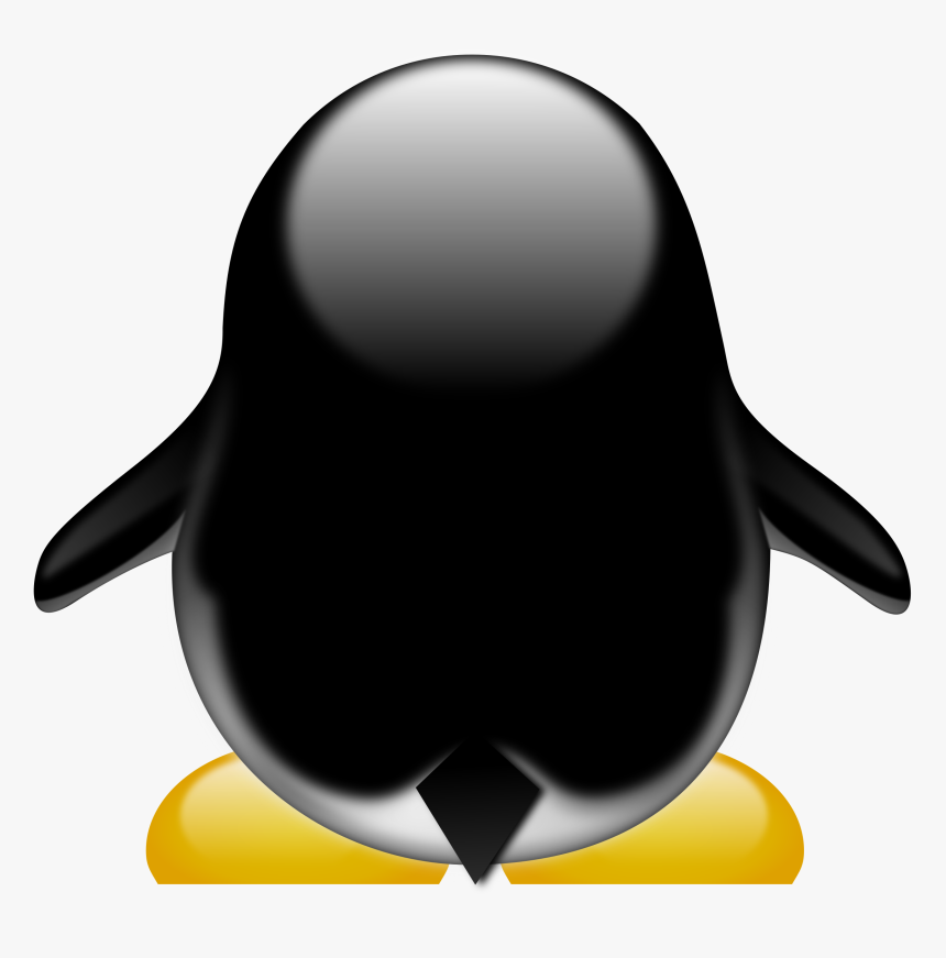 Cheer Megaphone Clipart - Penguin Cartoon From The Back, HD Png Download