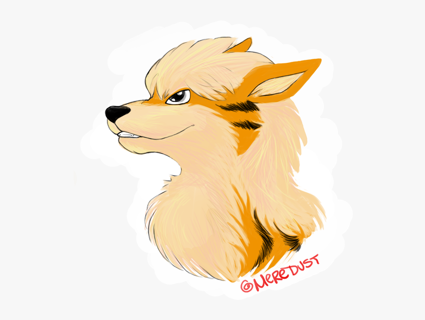 Arcanine Fan Art New, HD Png Download