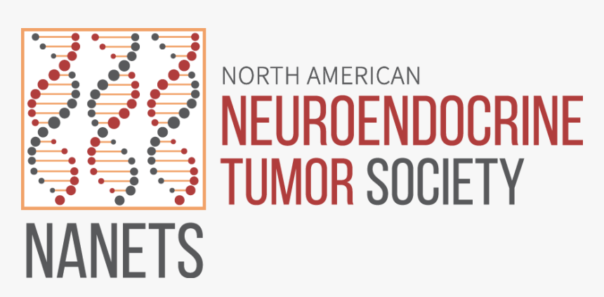 North American Neuroendocrine Tumor Society, HD Png Download