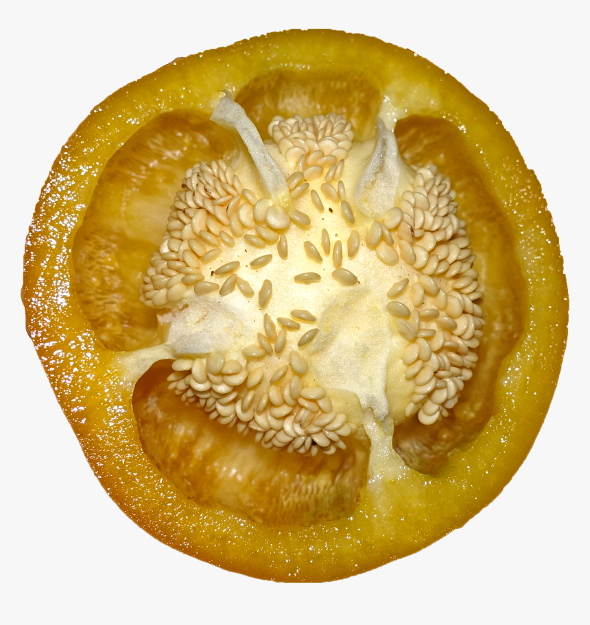 Bell Pepper - Muskmelon, HD Png Download