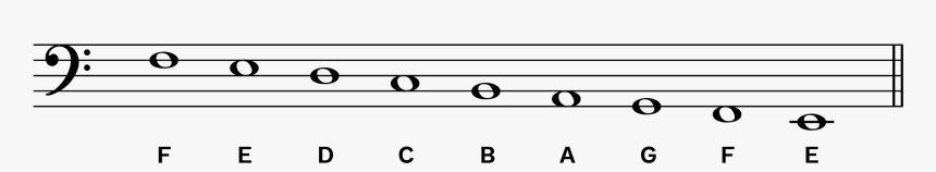 Bass, HD Png Download
