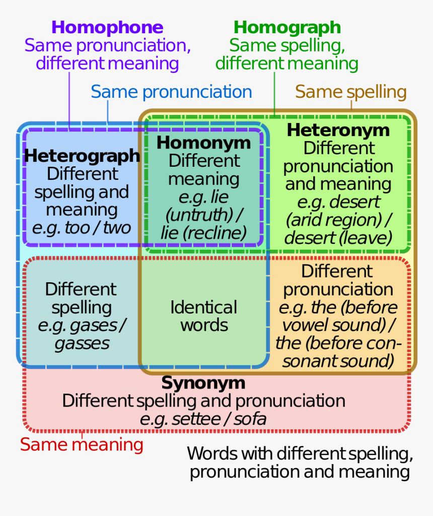Homophones Homonyms Homographs, HD Png Download