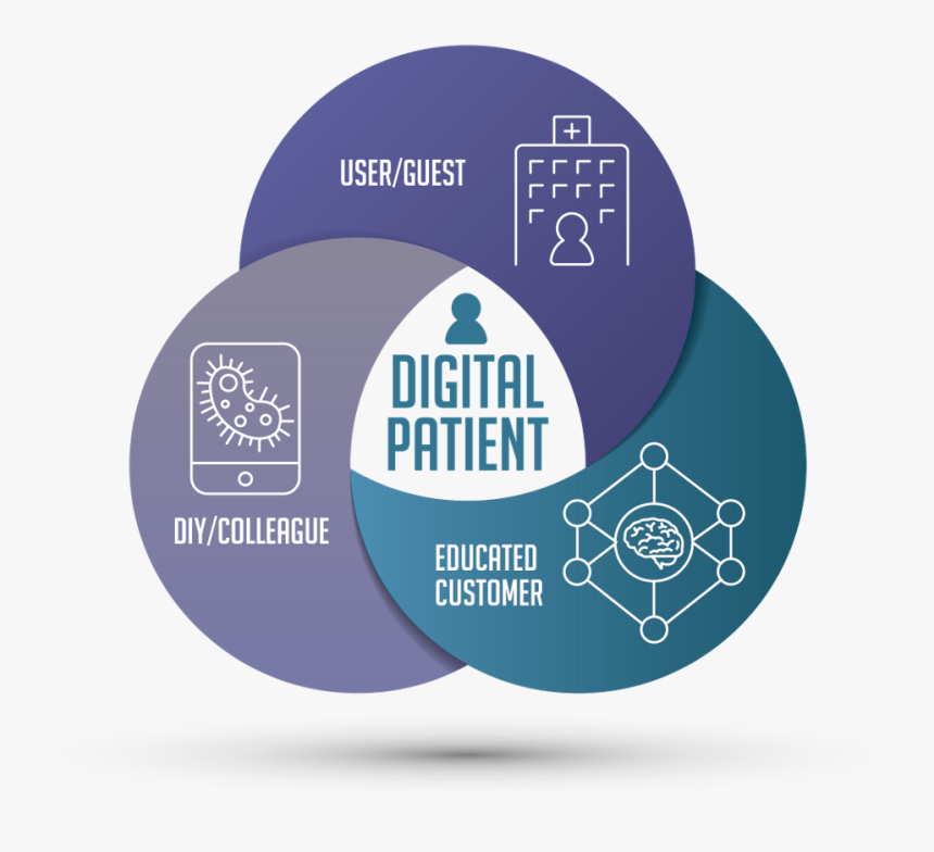 Circle, HD Png Download