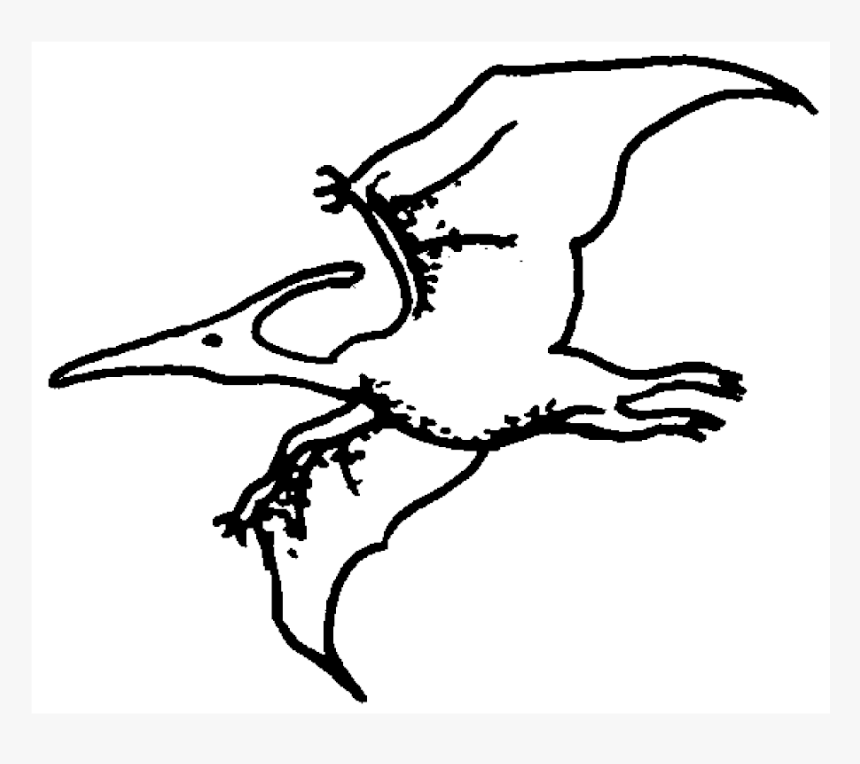 Pterodactyl Rubber Stamp 
 Title Pterodactyl Rubber - Sketch, HD Png Download