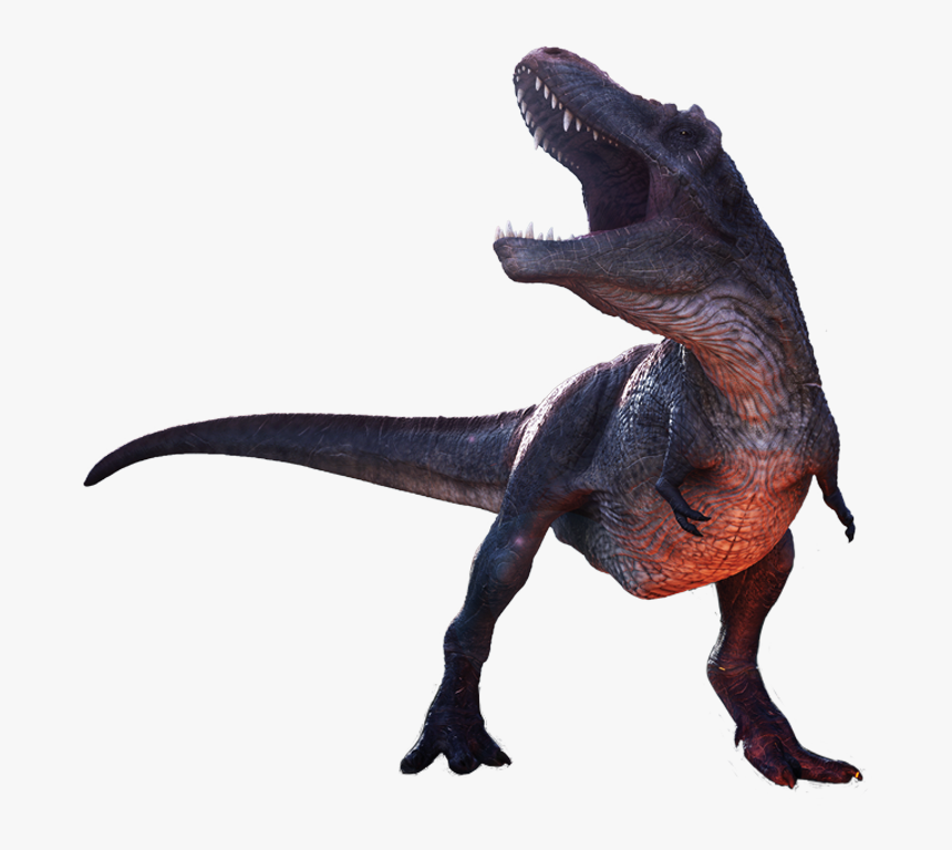 Tyrannosaurus, HD Png Download