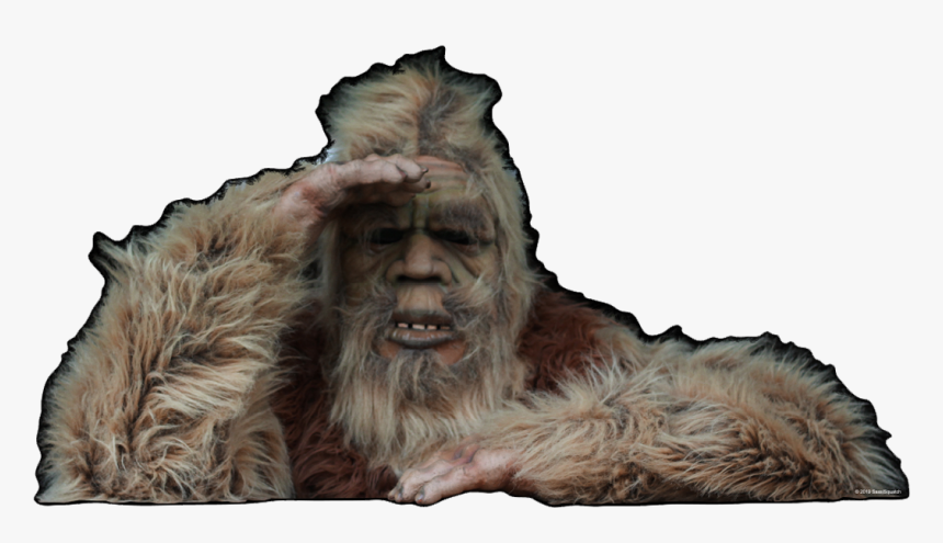 Punxsutawney Phil, HD Png Download