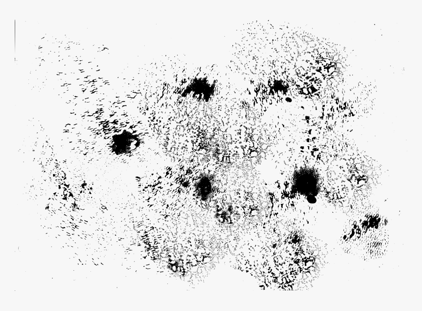 Monochrome, HD Png Download