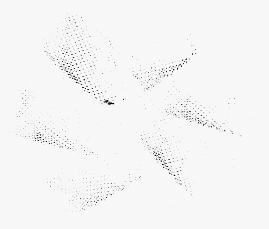 Monochrome, HD Png Download