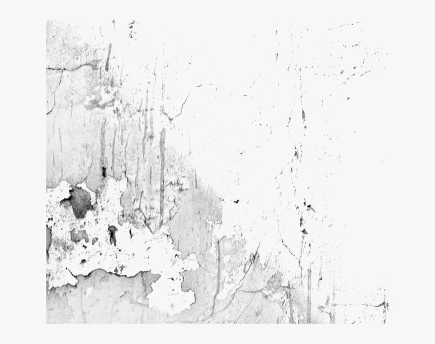 Monochrome, HD Png Download