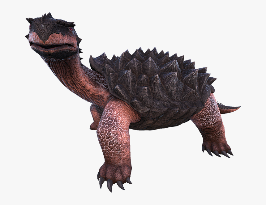 Carbonemys - Animals Have Keratin In Ark, HD Png Download