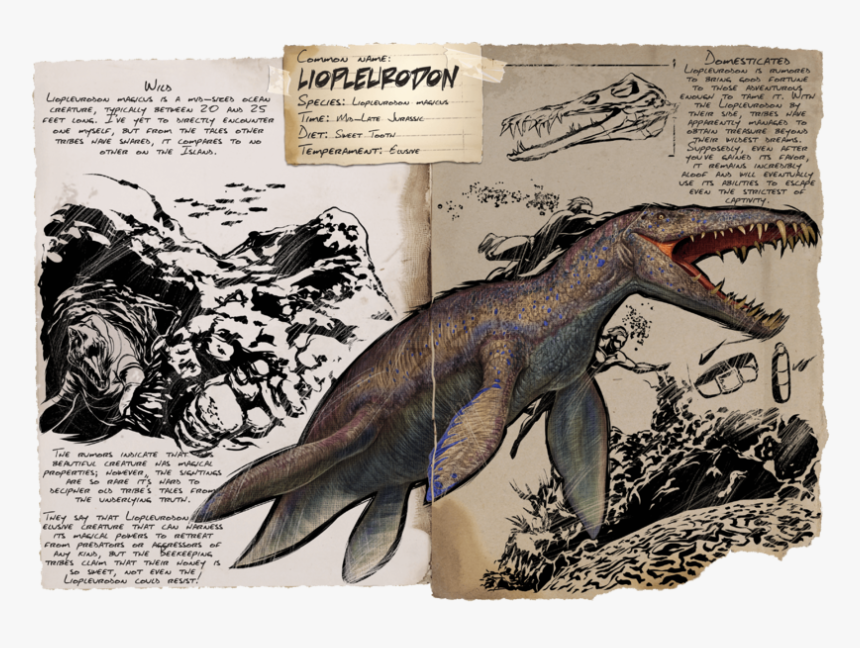 Liopleurodon Ark, HD Png Download