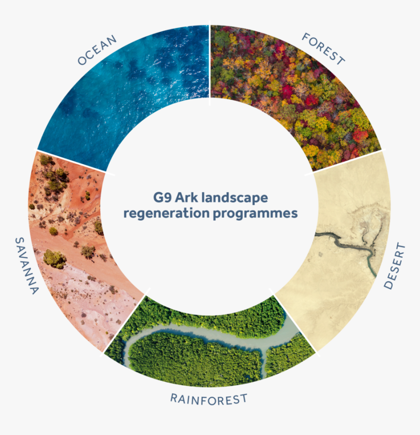 G9ark - Circle, HD Png Download