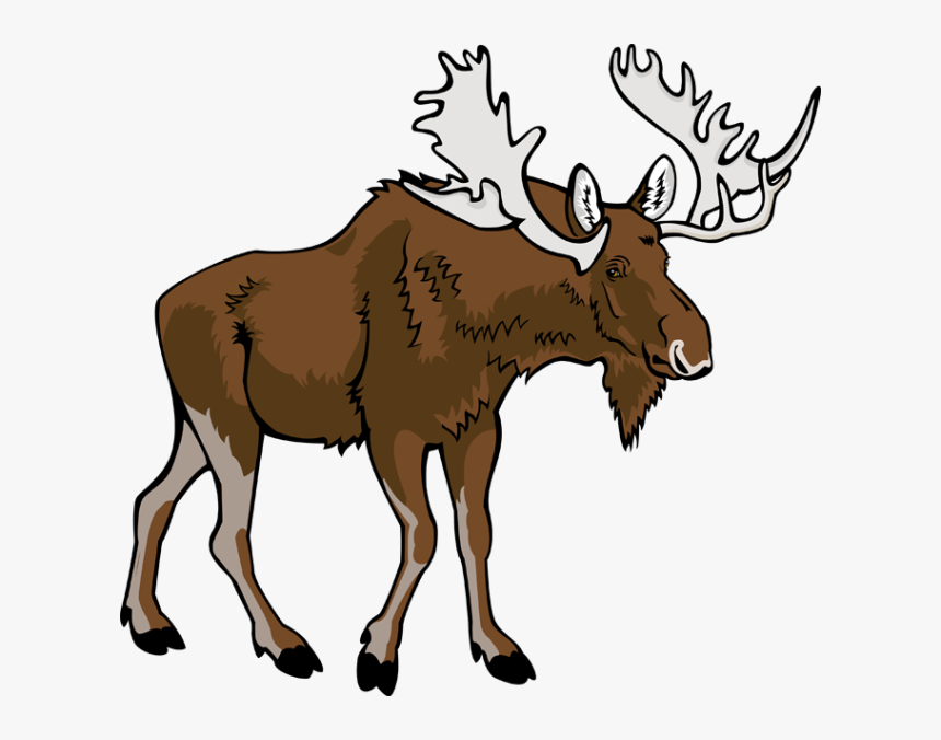 Download Moose Transparent Png - Transparent Background Moose Clipart, Png Download
