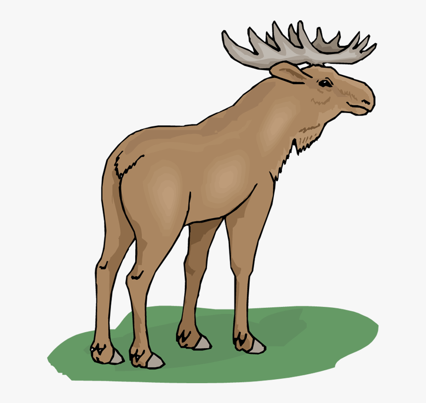 Free Moose Free Download Clipart - Clip Art, HD Png Download