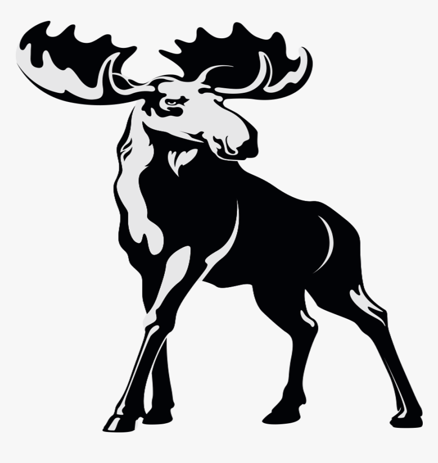 Bull Moose, HD Png Download